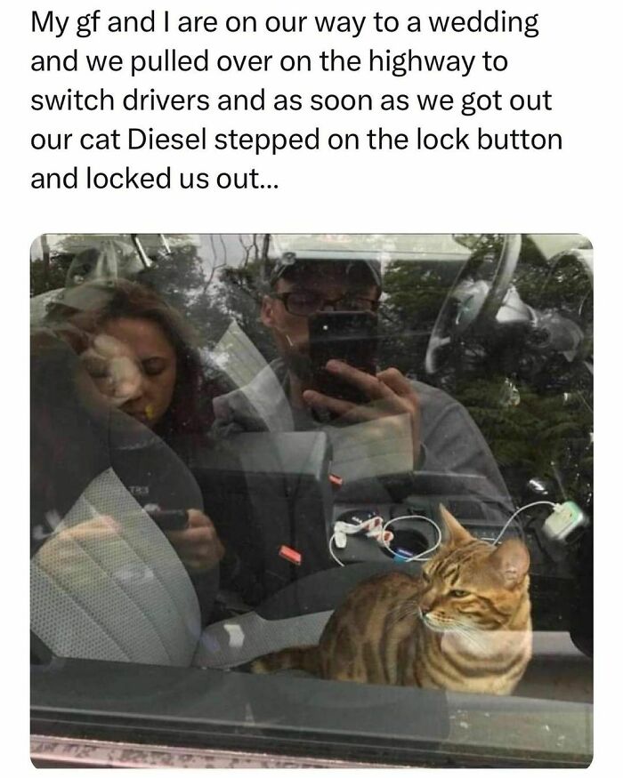 Young adults locked out of their car by their cat, showcasing the best and worst life moments of students and young adults.