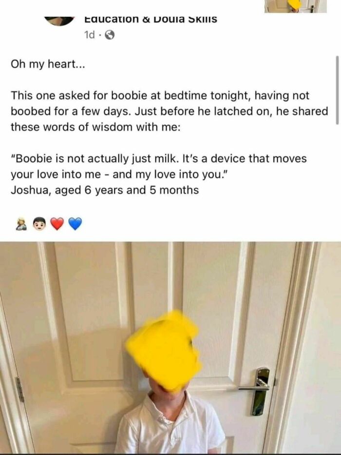 Child's heartfelt explanation about breastfeeding shared in a post showcasing hilariously obvious lies tried as true.