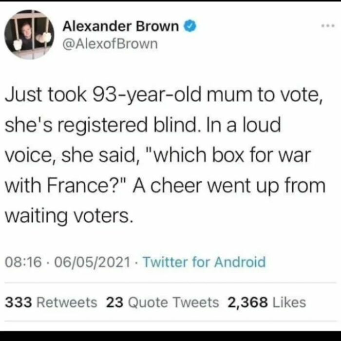 Tweet showing a humorous lie about a 93-year-old registered blind mum asking which box is for war with France.