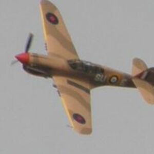 dryctallships avatar