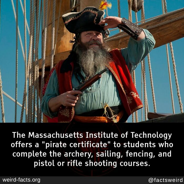 Pirate-themed man on a ship, showcasing weird fact about MIT offering a "pirate certificate" for completing specific courses.