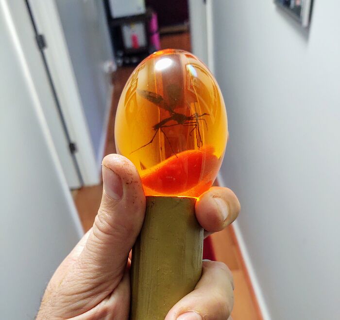 Bring The Past To Life With A Jurassic Park Mosquito In Amber