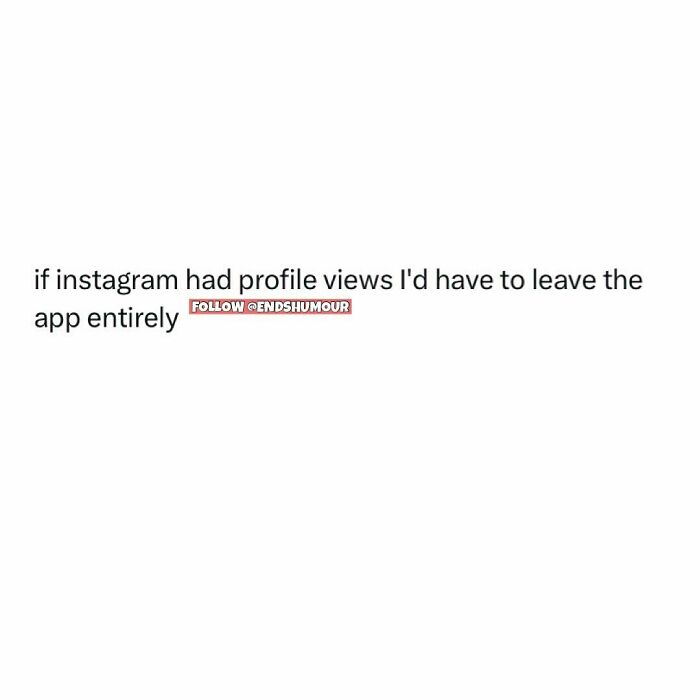Screenshot humor about adulting mentioning Instagram profile views and relatable social media anxiety in everyday adult life.
