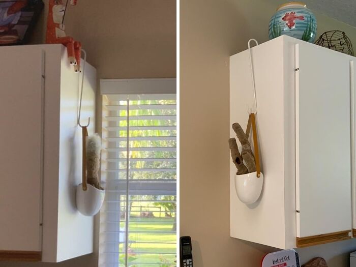 A Sturdy S-Shaped Hook Is The Renter-Friendly Solution For All Your Problems