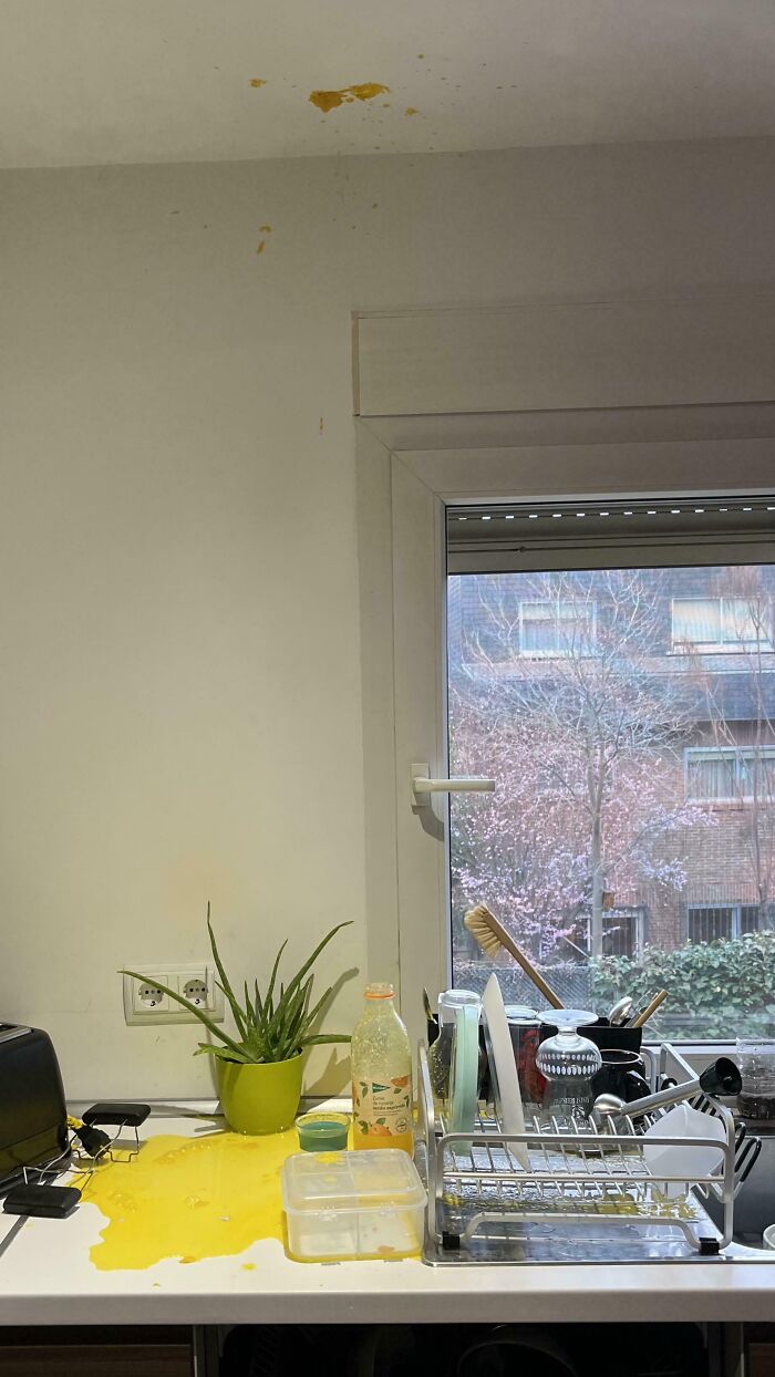 One Of Our Kids Took Out A Half-Finished Bottle Of Orange Juice, And Left It On The Counter. In The Sun, Lid On Tight It Exploded This Afternoon. Some Of The Pulp Made It More Than Six Feet