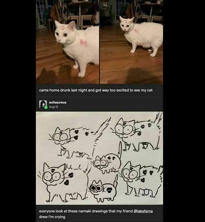 Funny and random meme of a white cat with lipstick marks and whimsical cat drawings underneath.