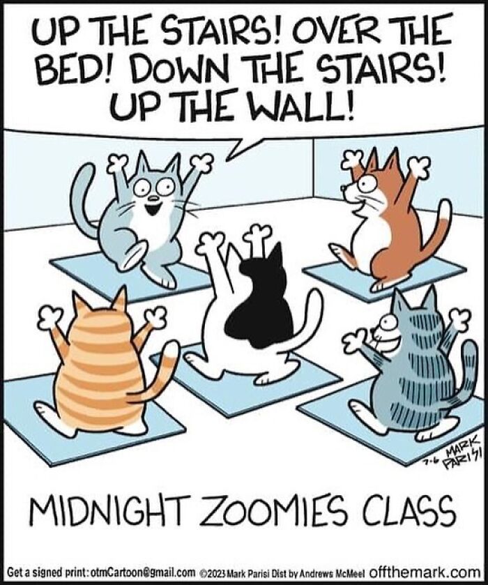 The Purr-Fect Laugh: Mark Parisi’s Cat-Edition (41 Pics)