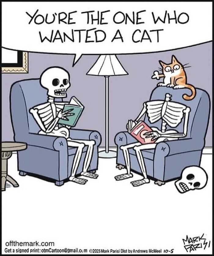 The Purr-Fect Laugh: Mark Parisi’s Cat-Edition (41 Pics)