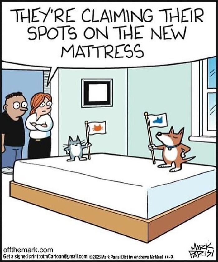 The Purr-Fect Laugh: Mark Parisi’s Cat-Edition (41 Pics)