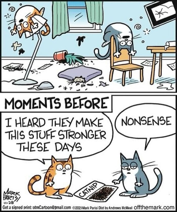 The Purr-Fect Laugh: Mark Parisi’s Cat-Edition (41 Pics)