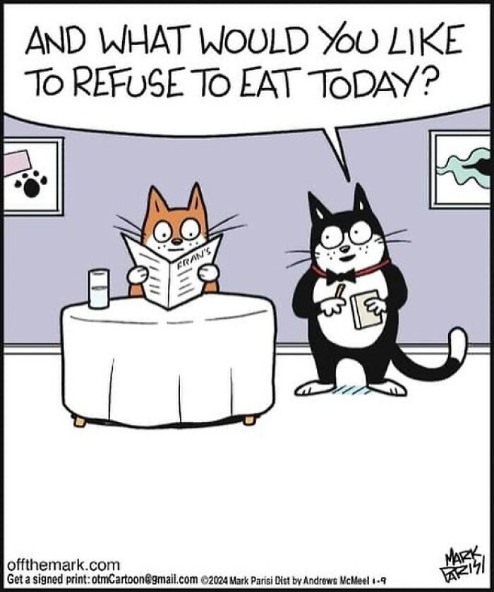 The Purr-Fect Laugh: Mark Parisi’s Cat-Edition (41 Pics)
