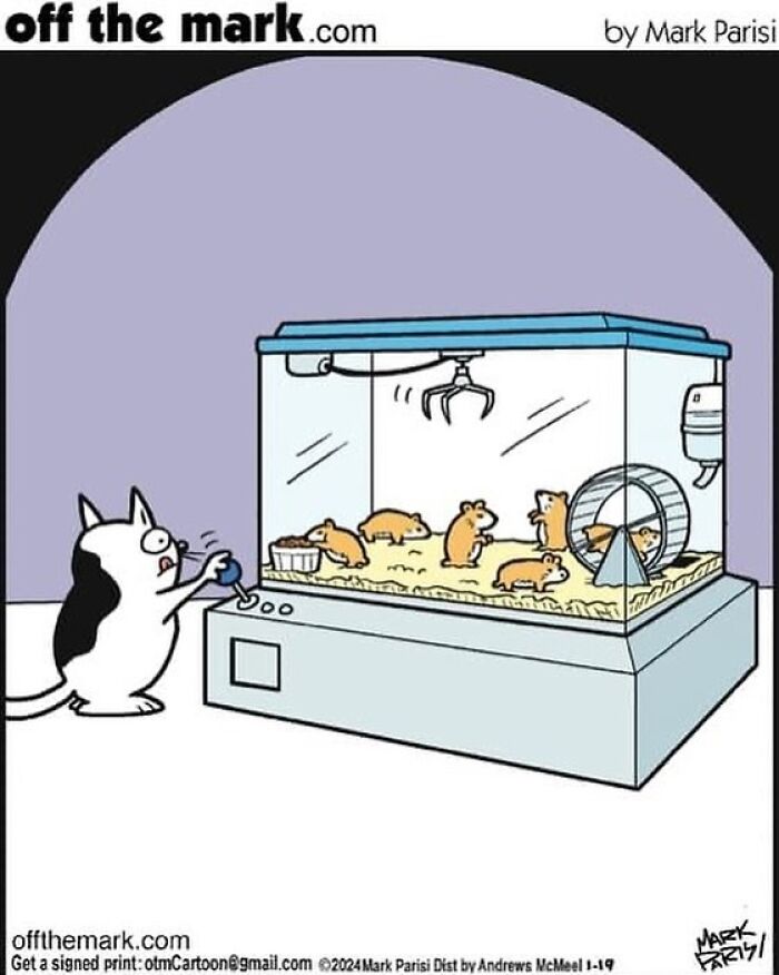 The Purr-Fect Laugh: Mark Parisi’s Cat-Edition (41 Pics)