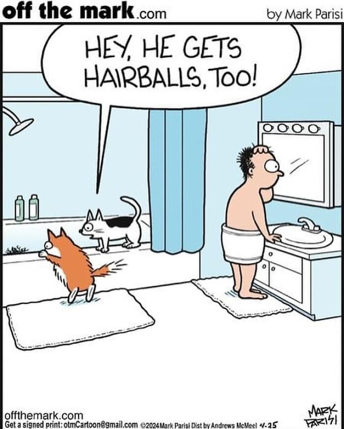 The Purr-Fect Laugh: Mark Parisi’s Cat-Edition (41 Pics)