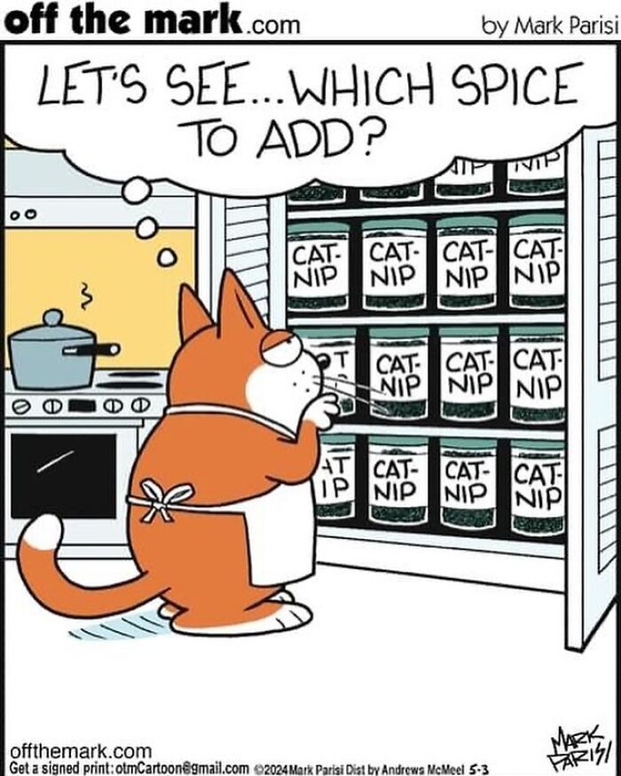 The Purr-Fect Laugh: Mark Parisi’s Cat-Edition (41 Pics)