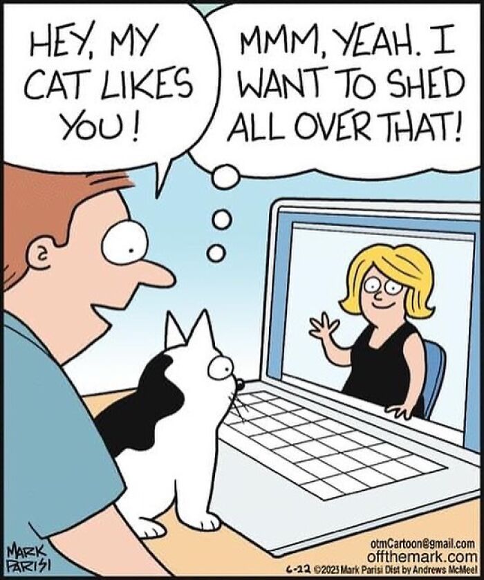 The Purr-Fect Laugh: Mark Parisi’s Cat-Edition (41 Pics)