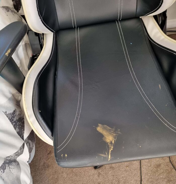 My Daughter Wiped Nail Polish On My Chair And It Looks Like Poop