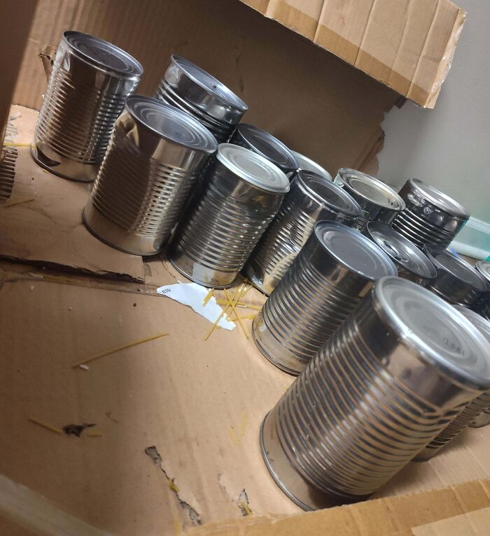 Empty tin cans scattered inside a torn cardboard box, illustrating a chaotic parenting moment for parents.