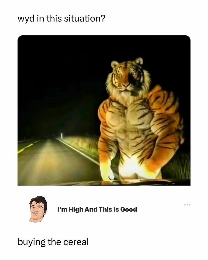 Muscular tiger standing on a road at night in a funny animal meme showcasing pure humor and absurdity.