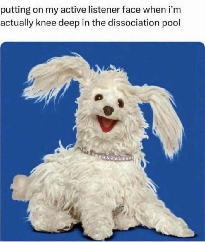 Fluffy white puppet dog with floppy ears smiling against blue background in a funny animal meme.