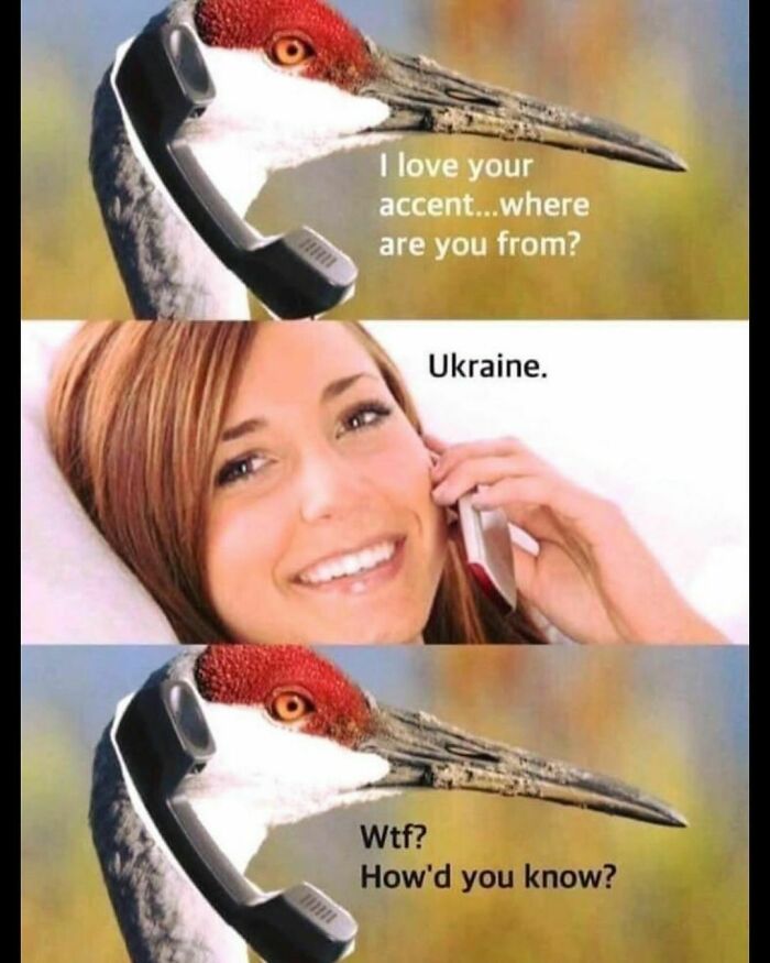 Funny animal meme showing a bird holding a phone talking to a smiling woman with a playful conversation about Ukraine.