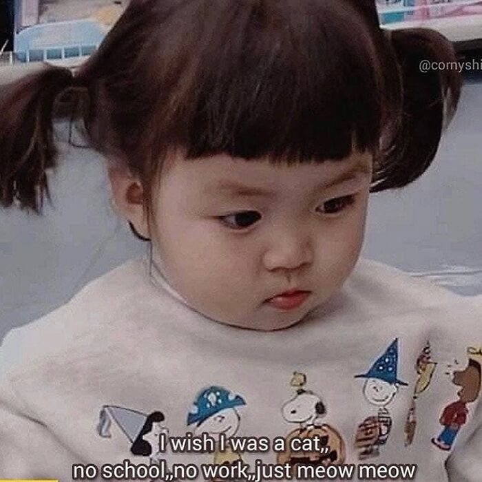Young child with pigtails, wearing a sweater with cartoon characters, text overlay expresses wish to be a cat, relating meme.