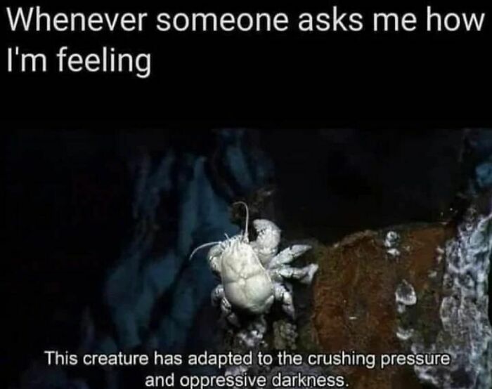 Meme depicting a white crab in a dark environment, relating to barely functioning with text about adapting to pressure and darkness.