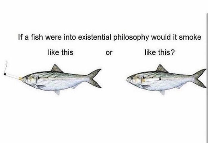 Two fish pondering existential philosophy with cigarettes in humorous meme format.