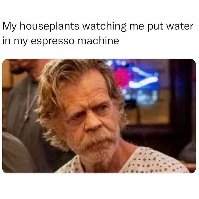 Scruffy man looking confused; relatable meme about houseplants and espresso machine.