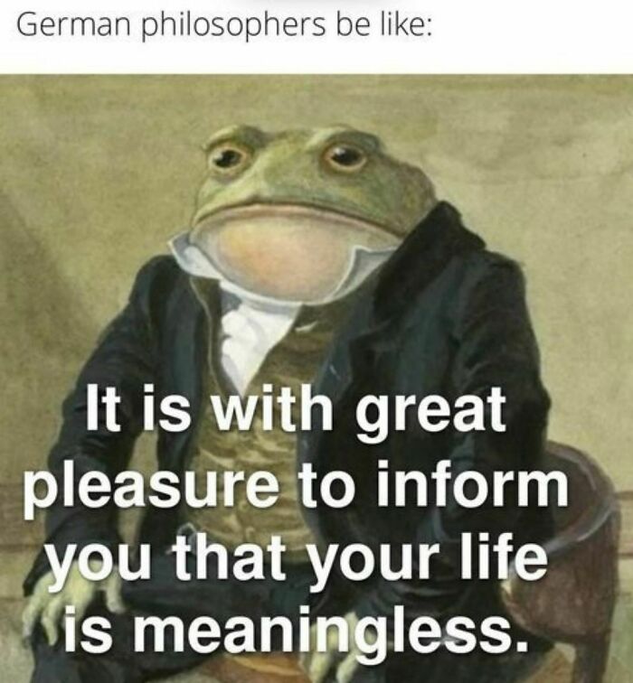 Philosopher meme features a frog in a suit with text overlay about life being meaningless.