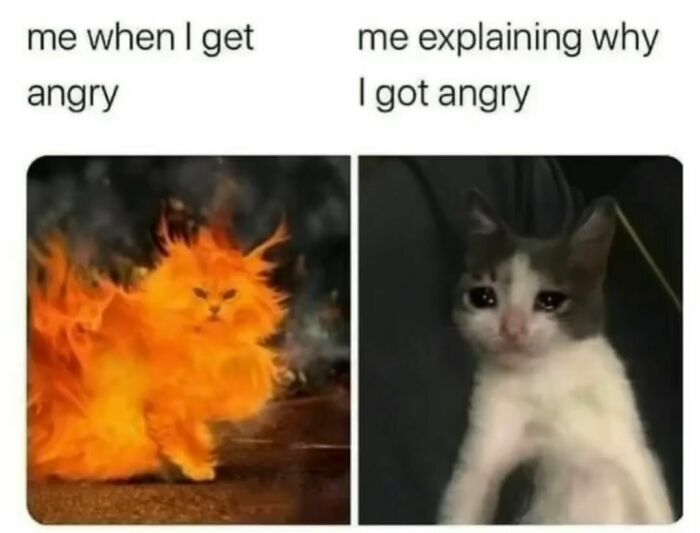 Flaming angry cat meme beside a sad, teary-eyed cat meme, illustrating emotional contrast.