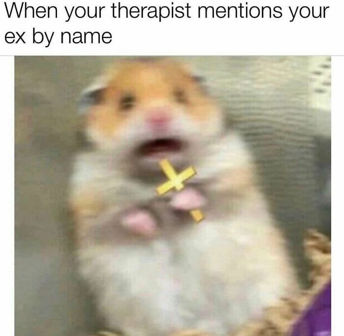 Blurry hamster holding a cross, reacting with shock; relatable meme humor for those barely functioning.