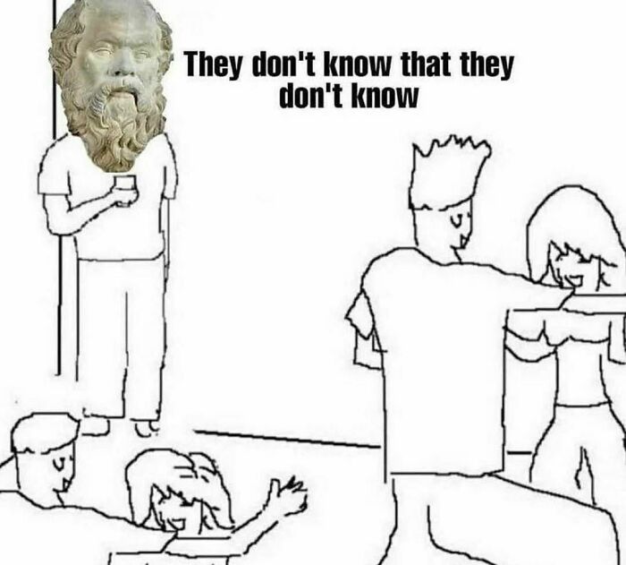 Cartoon meme with a philosophical statue head, captioned "They don't know that they don't know," reflecting relatable struggles.