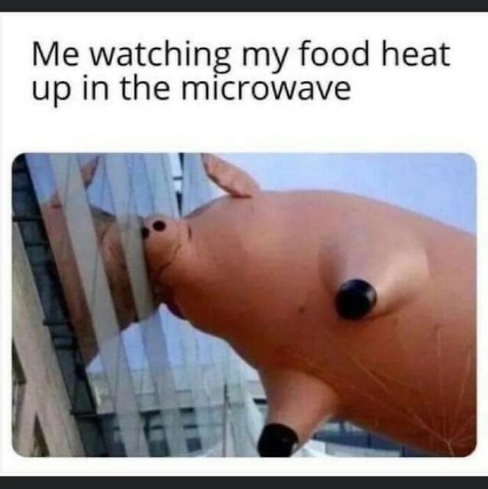 Inflatable pig balloon pressed against glass, illustrating a funny random meme about a common unique experience.