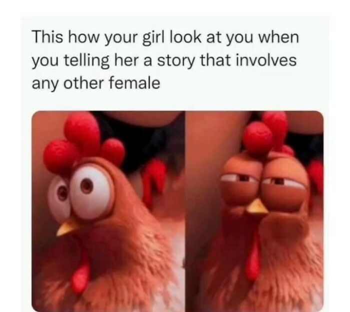 Meme showing a chicken’s changing facial expression, illustrating common relatable moments in random meme humor.