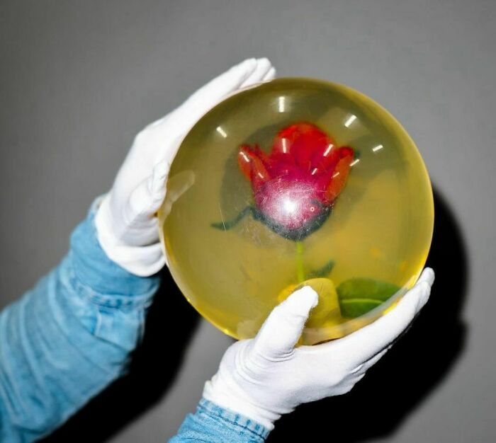 Gloved hands holding a red flower encased in a yellow sphere, capturing nineties nostalgia.
