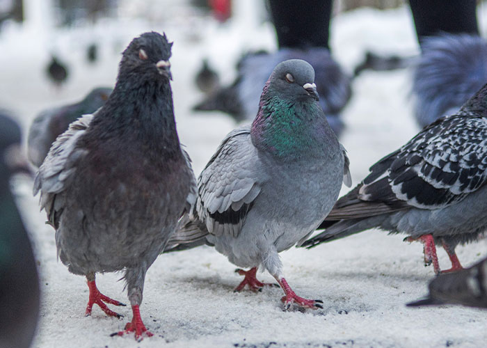 “They Woke Up Screaming For Six Months”: 50 Messed Up Jobs That Actually Exist