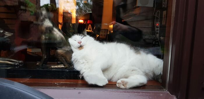 Sleeping Very Comfertable