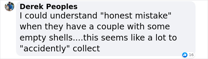 “It Ruined Our Trip”: Mom Fined $88k After Kids Pick Up 72 Clams Thinking They Were Seashells “It Ruined Our Trip”: Mom Fined $88k After Kids Pick Up 72 Clams Thinking They Were Seashells