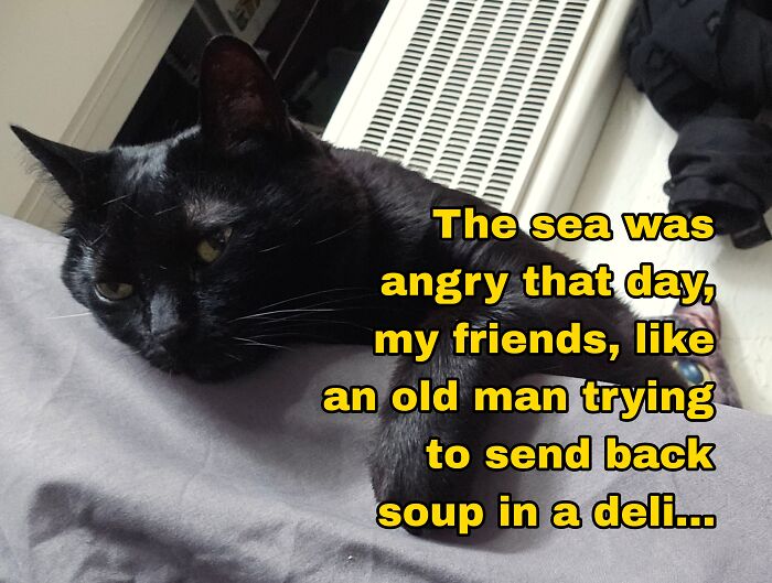 The Marine Biologist