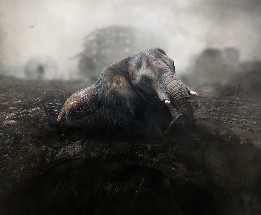 Victim © Kazutoshi Kawakami