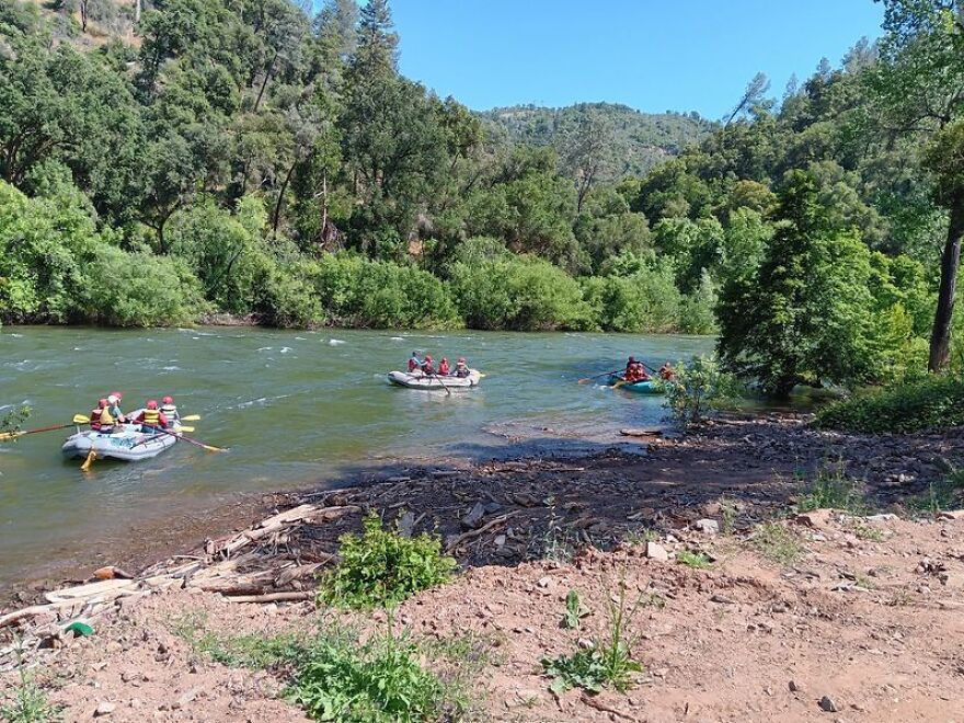 Am I The Ass For "Destroying" A Junior College Program?