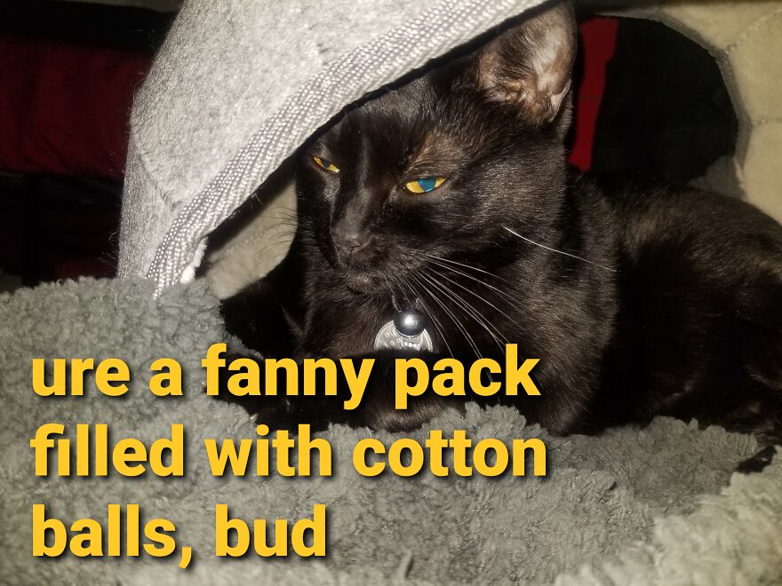 Boobiekatz On Letterkenny Boobiekatz On Letterkenny