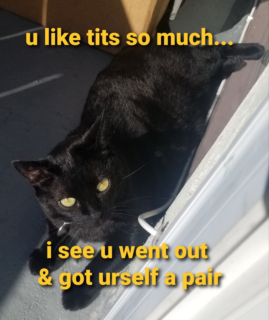 Boobiekatz On Letterkenny Boobiekatz On Letterkenny