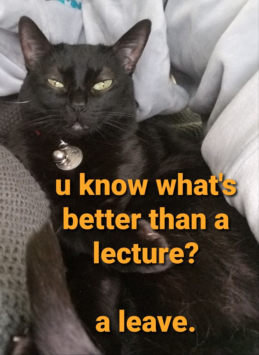 Boobiekatz On Letterkenny Boobiekatz On Letterkenny