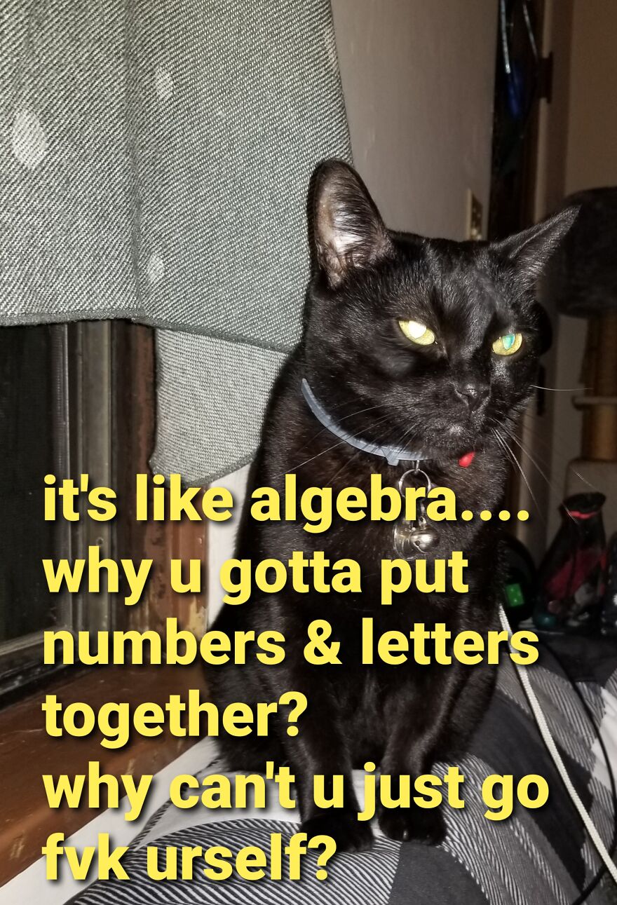 Boobiekatz On Letterkenny Boobiekatz On Letterkenny