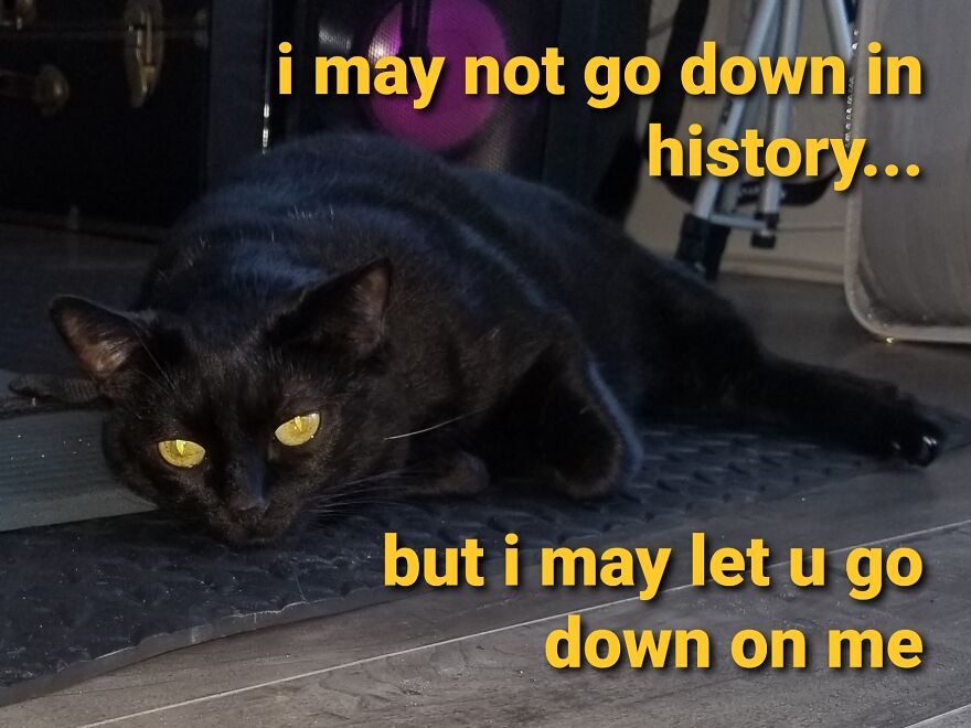 Boobiekatz On Letterkenny Boobiekatz On Letterkenny