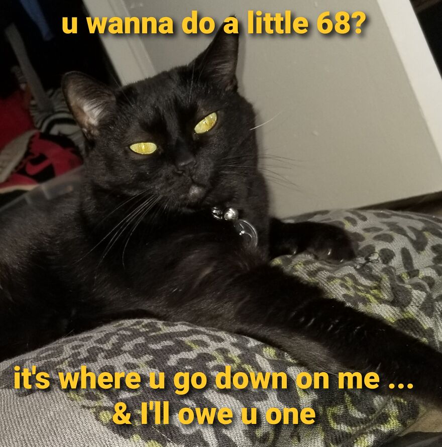 Boobiekatz On Letterkenny Boobiekatz On Letterkenny