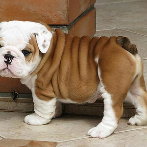 addyson-hellums avatar