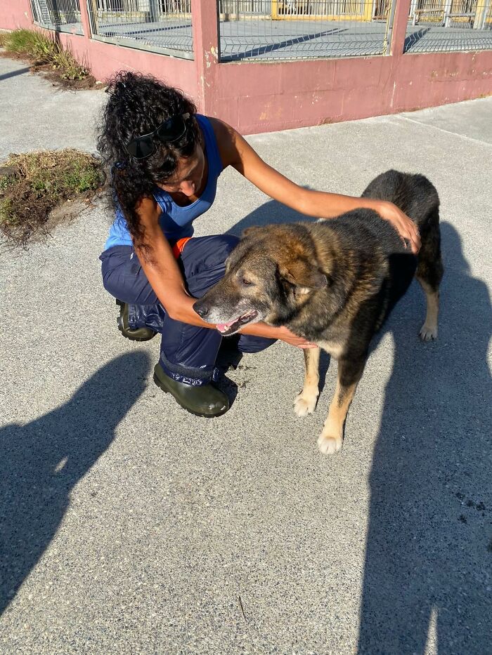 Senior Stray Dog From Spain Can&rsquo;t Stop Smiling After Getting Rescued And Adopted By A Family In The UK
