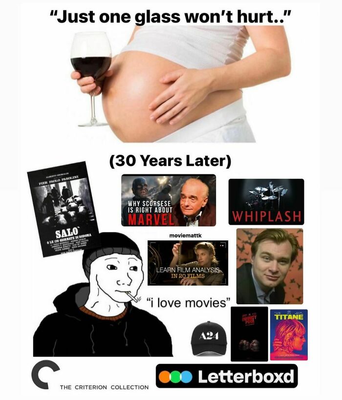 Pregnant woman holding wine glass with meme images depicting funny movie memes that hit harder than some films.